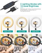 ⁦رينج لايت 3 الوان مختلفة بريموت كنترول للتحكم عن بعد للتصوير وعمل فيديوهات بشكل احترافي⁩ - الصورة ⁦4⁩
