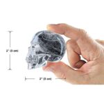 ⁦قالب لصُنع مكعبات الثلج على شكل جمجمة بارزة⁩ - الصورة ⁦4⁩