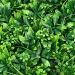 ⁦بلاطة زرع صناعي لتجديد ديكور الحوائط والبلكونات للمنازل والشركات والمحلات التجارية⁩ - الصورة ⁦5⁩