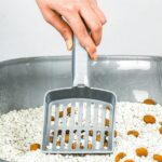 ⁦جاروف تنظيف رمل الحيوانات من الفضلات⁩ - الصورة ⁦2⁩