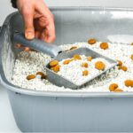 ⁦جاروف تنظيف رمل الحيوانات من الفضلات⁩ - الصورة ⁦6⁩