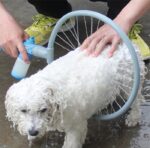 ⁦دش استحمام الكلاب دائري بخزان للصابون والشامبو يتصل بخرطوم المياه⁩ - الصورة ⁦7⁩