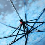 شمسية شفافه بورود ورديه مبهجة للحماية من المطر قابله للطي لسهولة الحمل في الشنط - الصورة 7