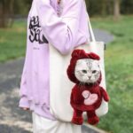 ⁦شنطة كتف لحمل القطط بجزء مخصص للوجه بأشكال وألوان مختلفة من الكتان⁩ - الصورة ⁦3⁩