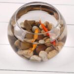 ⁦فازة ورد وحوض سمك لتغيير وتجديد ديكور البيت زجاج شفاف 825 ملي⁩ - الصورة ⁦4⁩