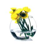 ⁦فازة ورد وحوض سمك لتغيير وتجديد ديكور البيت زجاج شفاف 825 ملي⁩ - الصورة ⁦6⁩