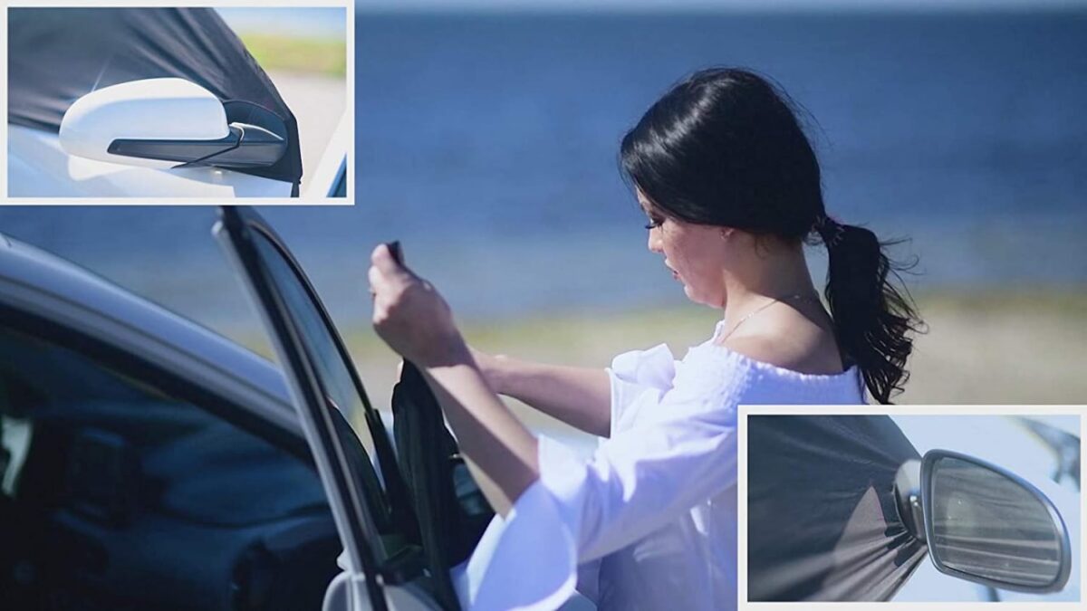 ⁦فاميه العربية الستارة⁩ - الصورة ⁦2⁩