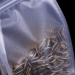 ⁦كيس تخزين شفاف محكم الغلق للبقوليات والخضروات والمكسرات قابل للغسيل لإعادة الأستخدام⁩ - الصورة ⁦6⁩