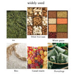 ⁦كيس تخزين شفاف محكم الغلق للبقوليات والخضروات والمكسرات قابل للغسيل لإعادة الأستخدام⁩ - الصورة ⁦9⁩