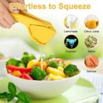 ⁦عصارة ليمون يدوية بمقبض مريح عملية وسهلة الأستخدام من البلاستيك⁩ - الصورة ⁦6⁩