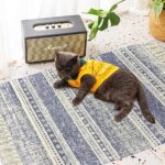 ⁦مشاية لتجديد ديكور البيت بألوان وأجواء يونانية مبهجة لغرف النوم والدريسنج والليفنج والحمام⁩ - الصورة ⁦6⁩