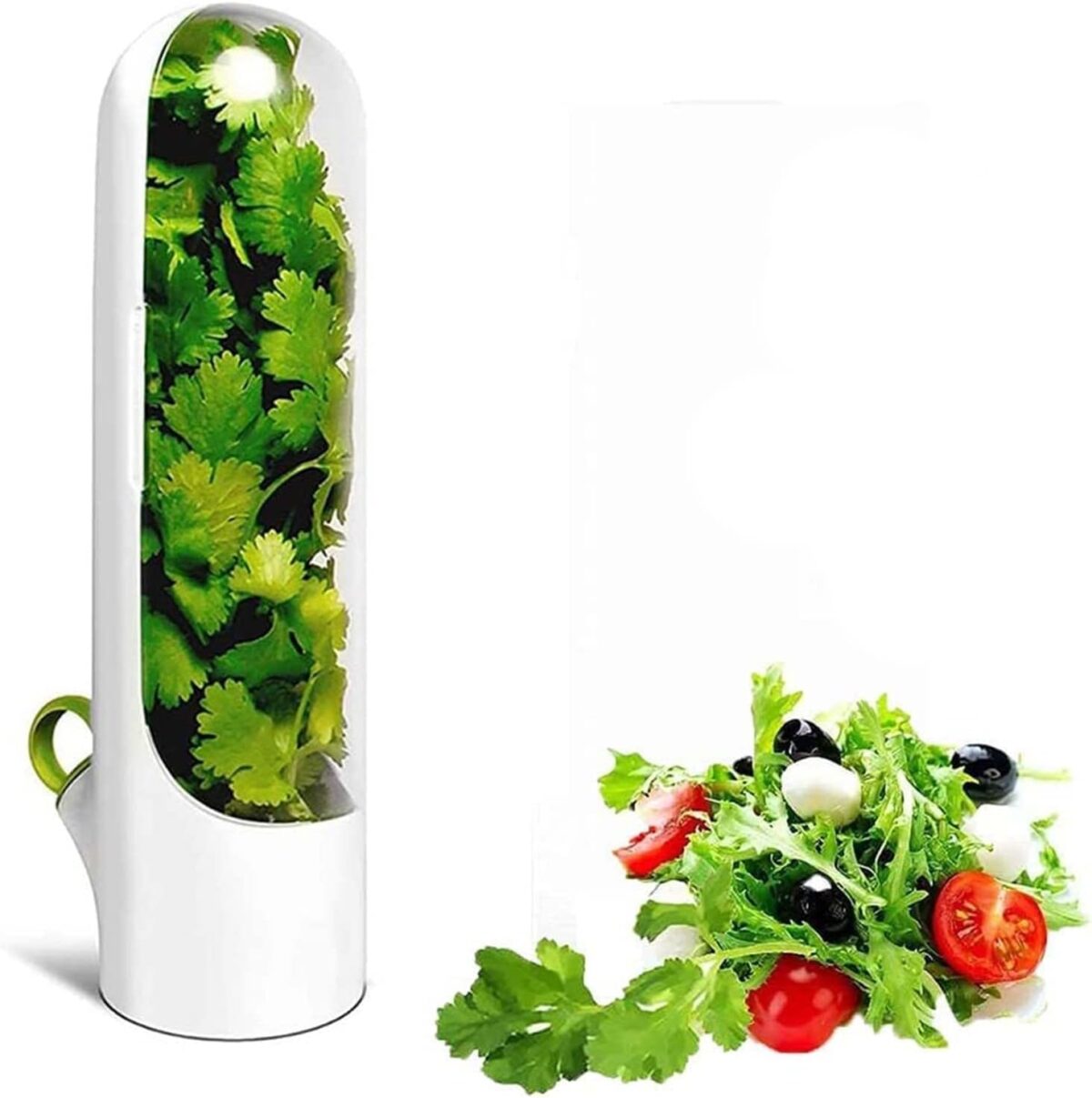 ⁦حافظة اعشاب من البلاستيك لتخزين وحفظ البقدونس والكزبرة والنعناع⁩ - الصورة ⁦2⁩