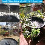 ⁦نافورة مياه ميني تعمل بالطاقة الشمسية ب 5 رؤوس رش للمياه⁩ - الصورة ⁦2⁩