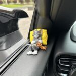 ⁦إكسسوارات توم وجيري لتزين تابلوه السيارة⁩ - الصورة ⁦10⁩