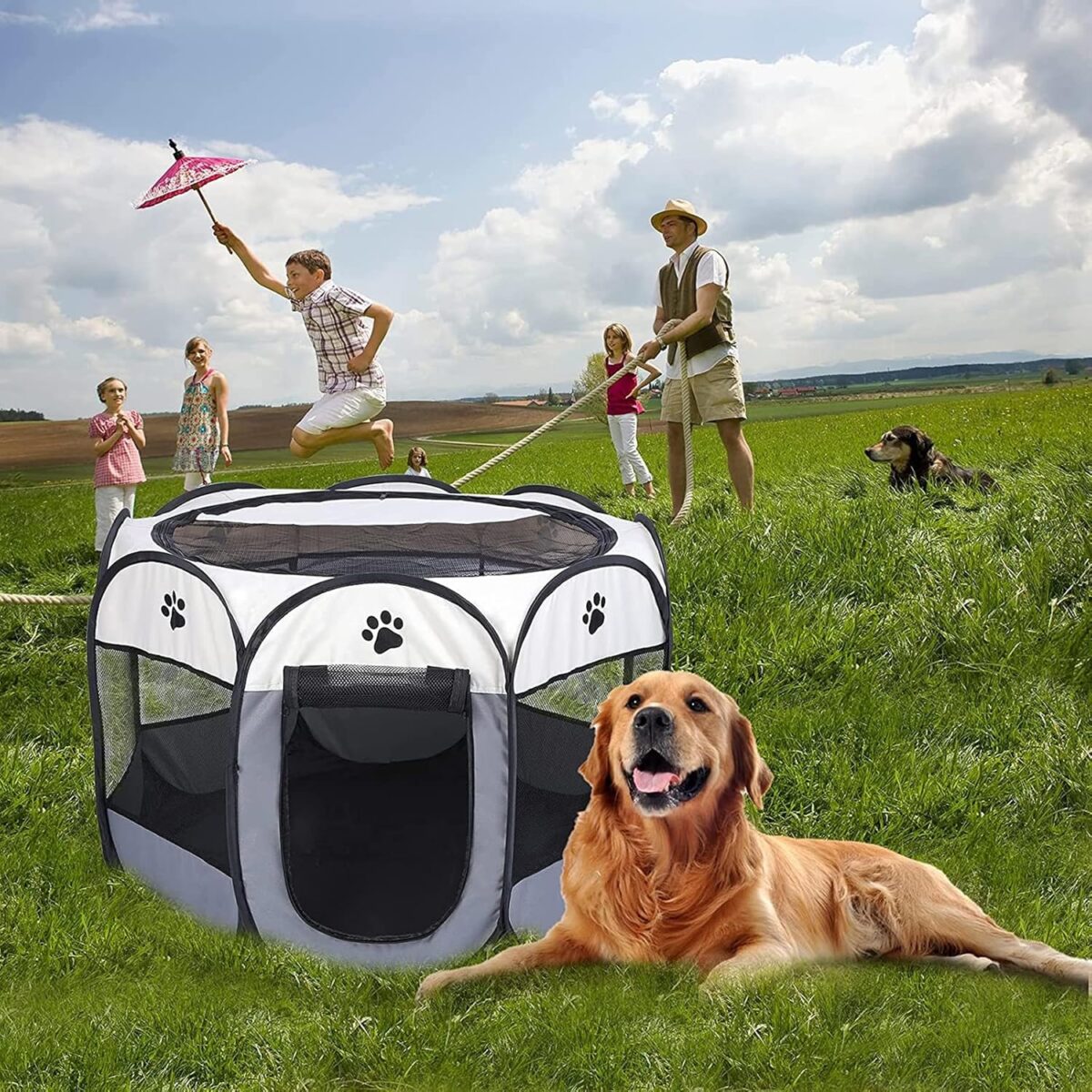 ⁦بيت متنقل للقطط والكلاب والحيوانات الاليفة قابل للطي⁩ - الصورة ⁦3⁩