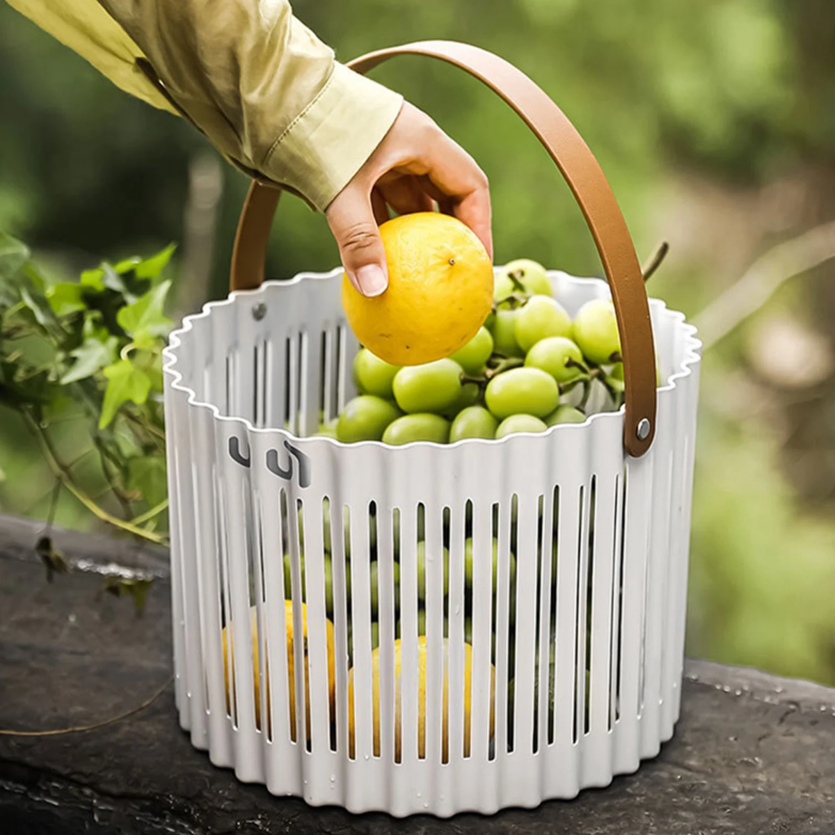 ⁦CG-MM-450⁩ - الصورة ⁦6⁩