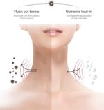 ⁦جهاز تدليك البشرة والرقبة للحماية من التجاعيد ب 3 اوضاع مختلفة -يعمل بالشحن⁩ - الصورة ⁦2⁩