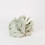 ⁦طقم شاور محمول 4 قطع مع شنطة شفافة للسفر والجيم⁩ - الصورة ⁦6⁩