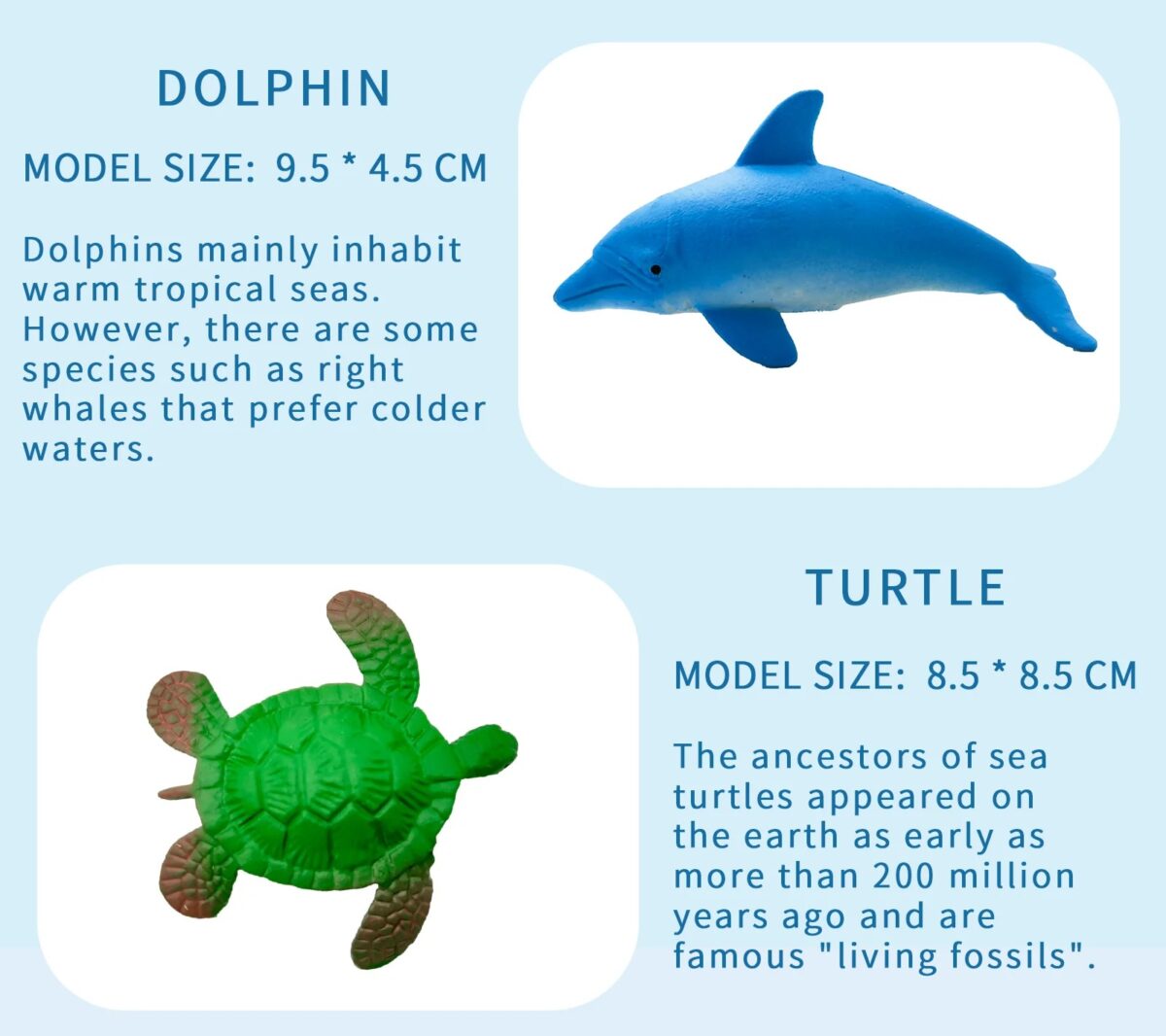⁦لعبة حيوانات بحرية تنمو في الماء باشكال مختلفة⁩ - الصورة ⁦4⁩