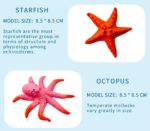 ⁦لعبة حيوانات بحرية تنمو في الماء باشكال مختلفة⁩ - الصورة ⁦7⁩