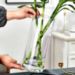 ⁦فازة زجاج شفاف بتصميم اسطواني الشكل مقاس 30 * 13 سم⁩ - الصورة ⁦3⁩