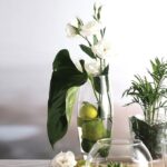 ⁦فازة زجاج شفاف بتصميم بيضاوي الشكل مقاس 26 * 8 سم⁩ - الصورة ⁦2⁩