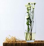 ⁦فازة زجاج شفاف بتصميم بيضاوي الشكل مقاس 26 * 8 سم⁩ - الصورة ⁦7⁩