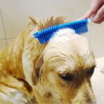 فرشة سيليكون لإزالة شعر الحيوانات الأليفة مع مقبض مريح لسهولة الاستخدام - الصورة 3