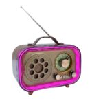 ⁦راديو محمول بألوان آر جي بي بالبلوتوث وقابل للشحن بيو اس بي⁩ - الصورة ⁦4⁩