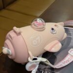 ⁦زمزمية بشاليموه بتصميم طائرة مجسمة مع حزام كروس للمدرسة والنادي -550 ملل⁩ - الصورة ⁦2⁩