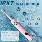 ⁦فرشة أسنان كهربائية للأطفال بتصميم كرتوني و 6 رؤوس قابلة للتبديل وخمسة أوضاع للتنظيف⁩ - الصورة ⁦2⁩