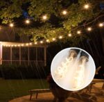 ⁦فرع نور 10 لمبات بطول 5 متر لتزيين الحدائق والأسطح⁩ - الصورة ⁦3⁩